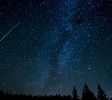 Werk je nachtdiensten